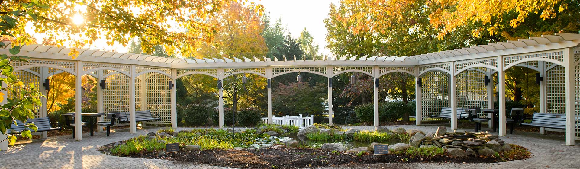 a pergola with a pond in the middle of it